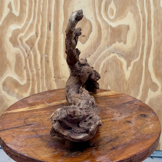Reptile Realm Natural Wood Natural Wood Piece E