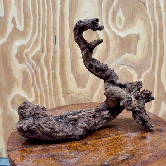 Reptile Realm Natural Wood Natural Wood Piece E