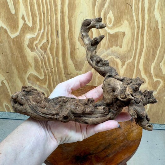 Reptile Realm Natural Wood Natural Wood Piece E