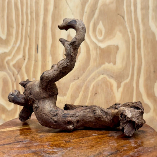 Reptile Realm Natural Wood Natural Wood Piece E