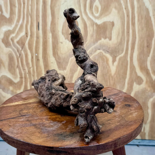 Reptile Realm Natural Wood Natural Wood Piece E
