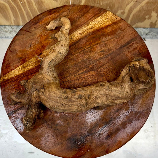 Reptile Realm Natural Wood Natural Wood Piece E