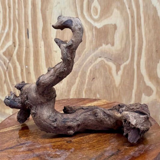 Reptile Realm Natural Wood Natural Wood Piece E