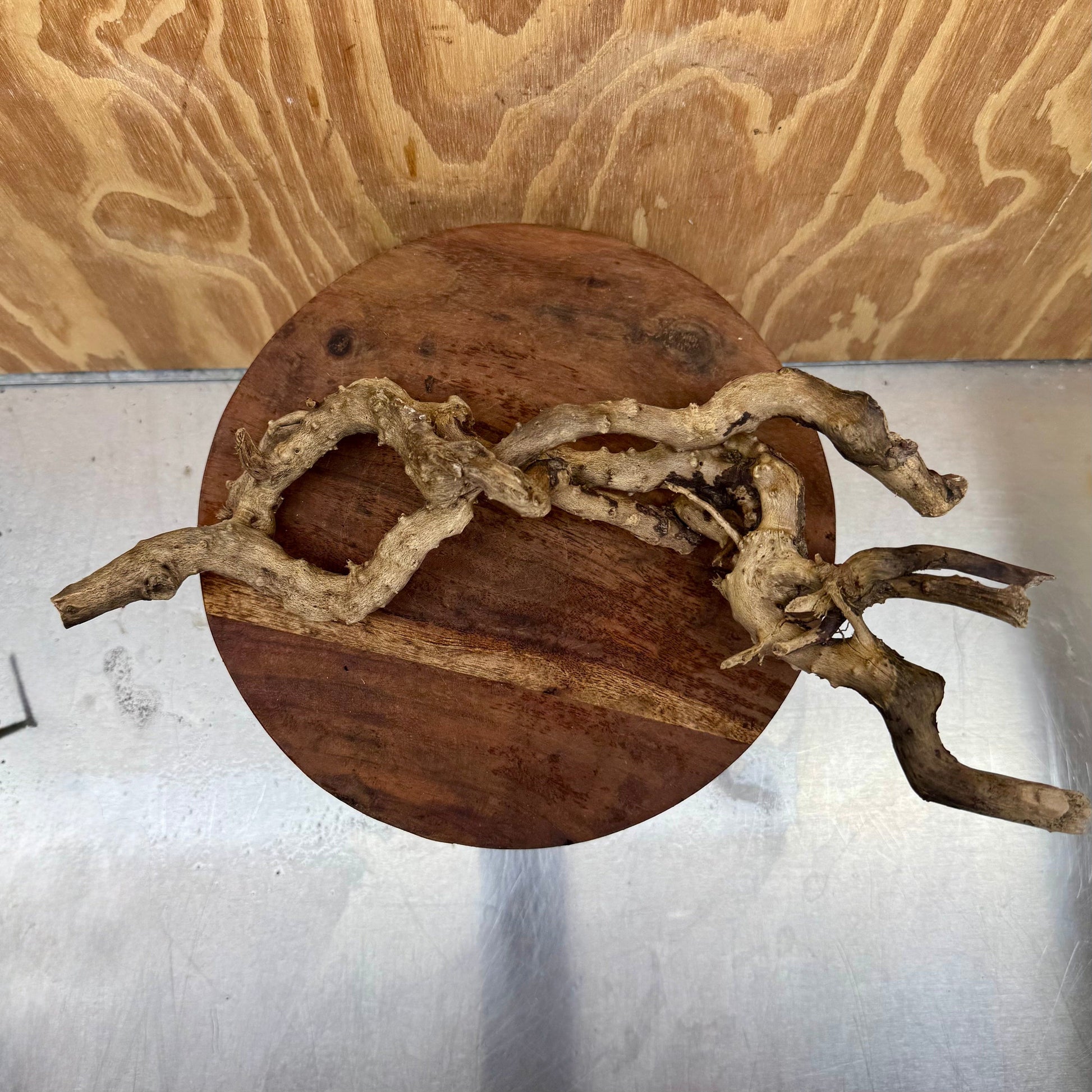 Reptile Realm Natural Wood Natural Wood Piece E