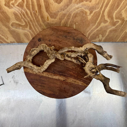 Reptile Realm Natural Wood Natural Wood Piece E