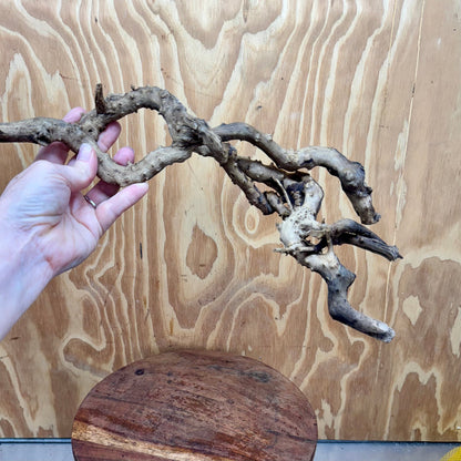 Reptile Realm Natural Wood Natural Wood Piece E