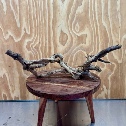 Reptile Realm Natural Wood Natural Wood Piece E