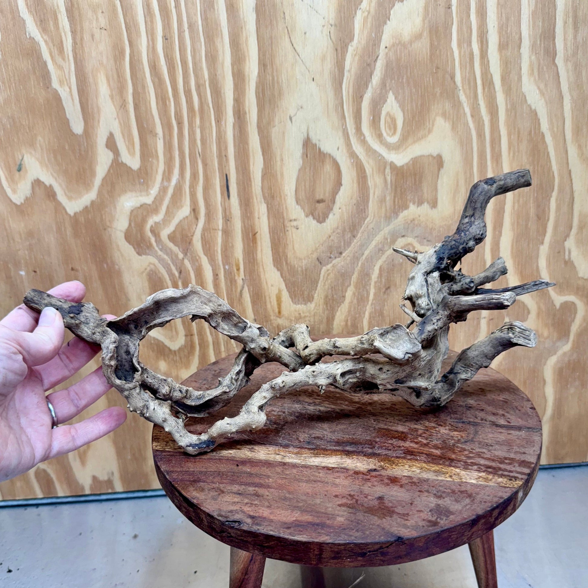 Reptile Realm Natural Wood Natural Wood Piece E