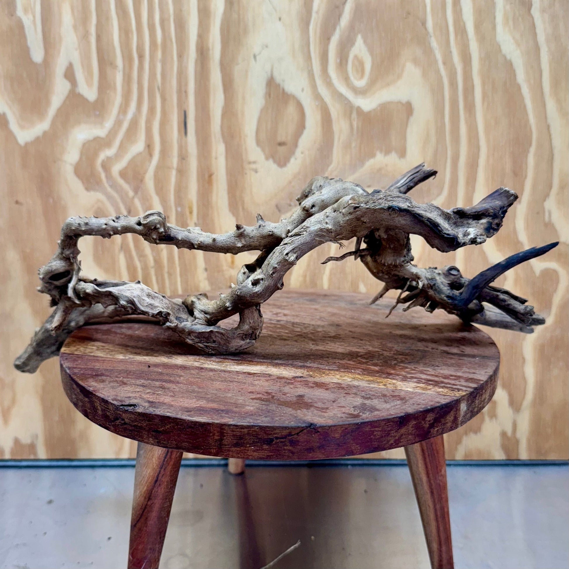 Reptile Realm Natural Wood Natural Wood Piece E