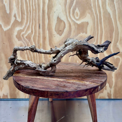 Reptile Realm Natural Wood Natural Wood Piece E