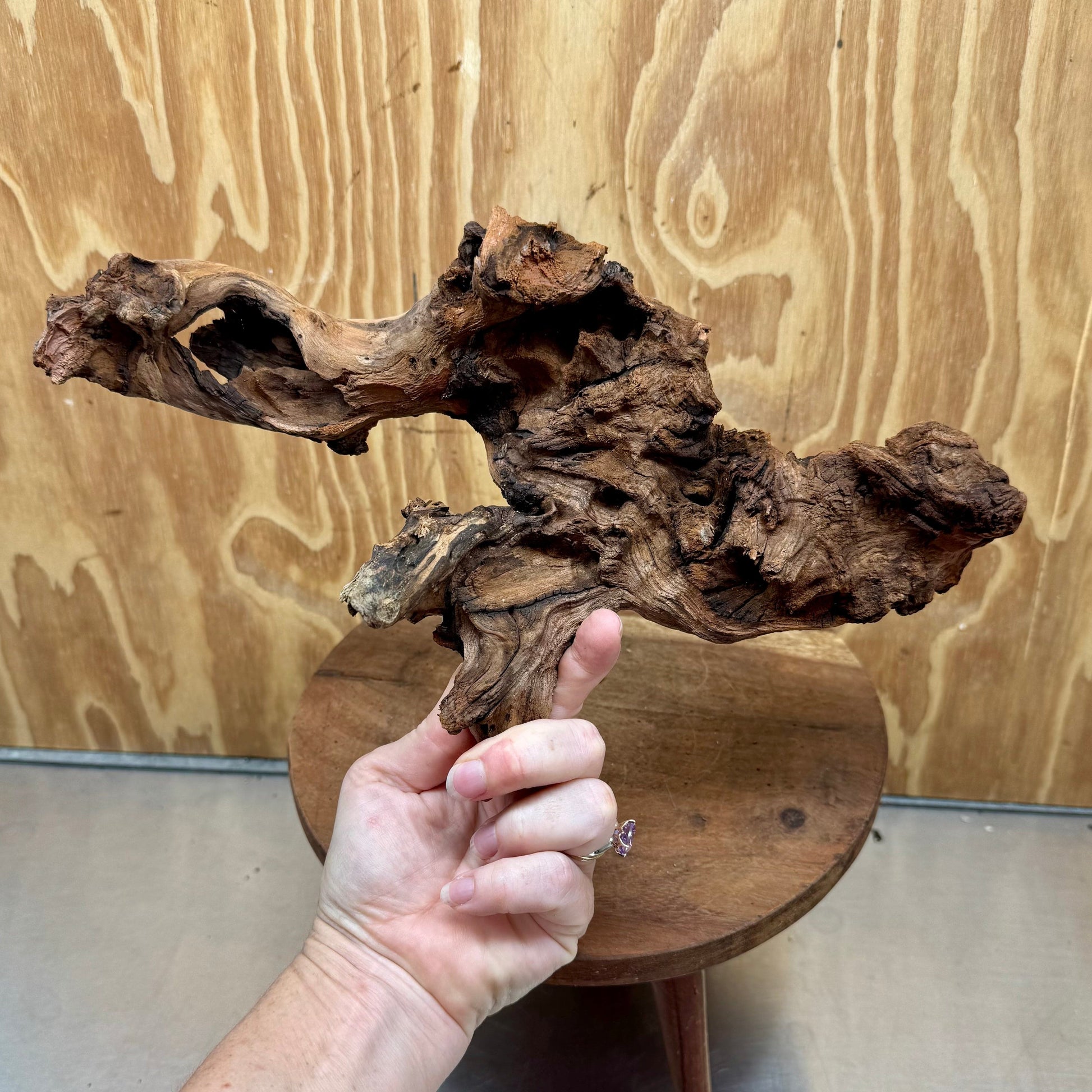 Reptile Realm Natural Wood Natural Wood Piece E