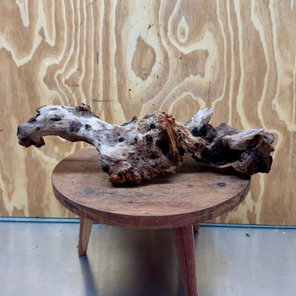 Reptile Realm Natural Wood Natural Wood Piece E