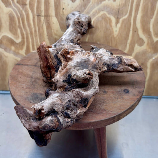 Reptile Realm Natural Wood Natural Wood Piece E