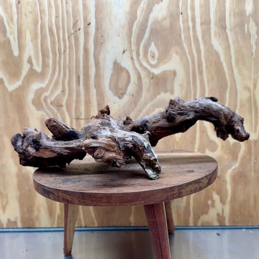 Reptile Realm Natural Wood Natural Wood Piece E