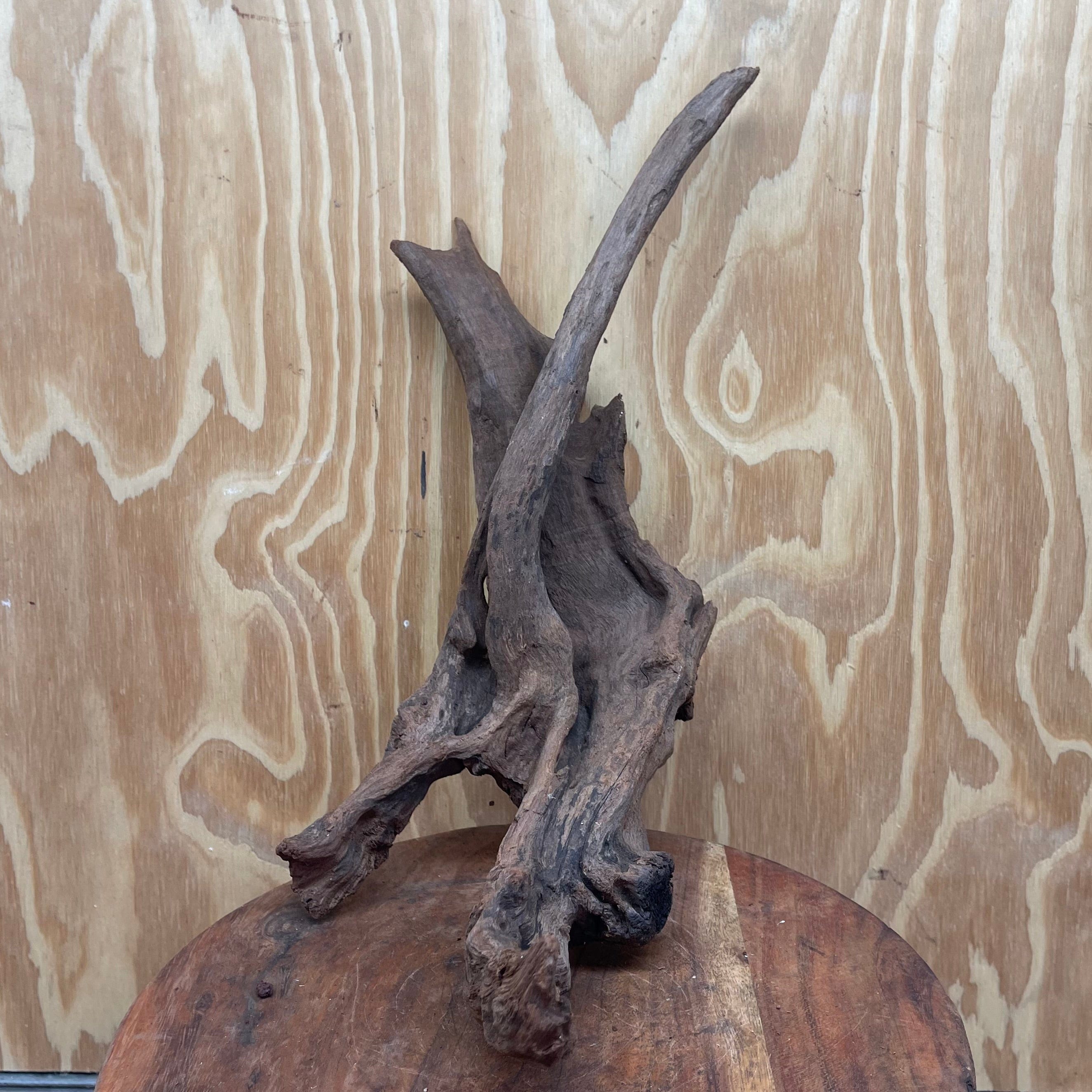 Reptile Realm Natural Wood Natural Wood Piece E