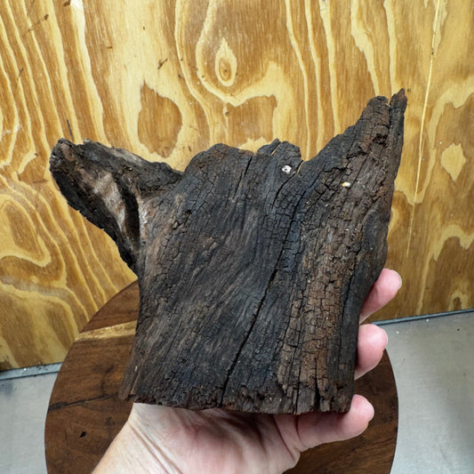 Reptile Realm Natural Wood Natural Wood Piece E - Shrek's Stump