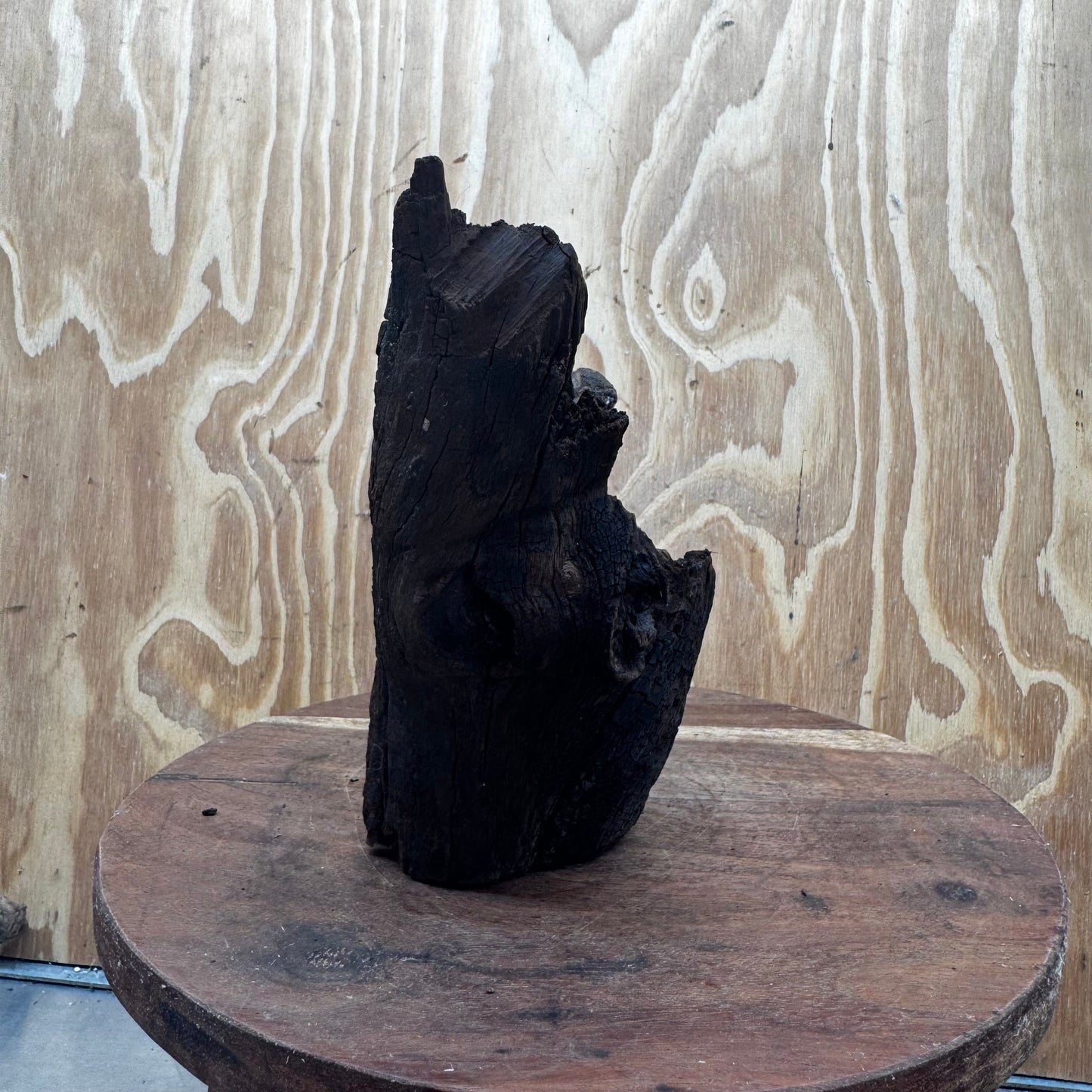 Reptile Realm Natural Wood Natural Wood Piece E - Shrek's Stump