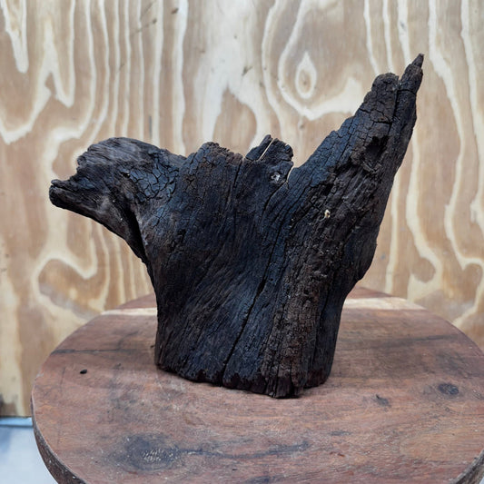 Reptile Realm Natural Wood Natural Wood Piece E - Shrek's Stump