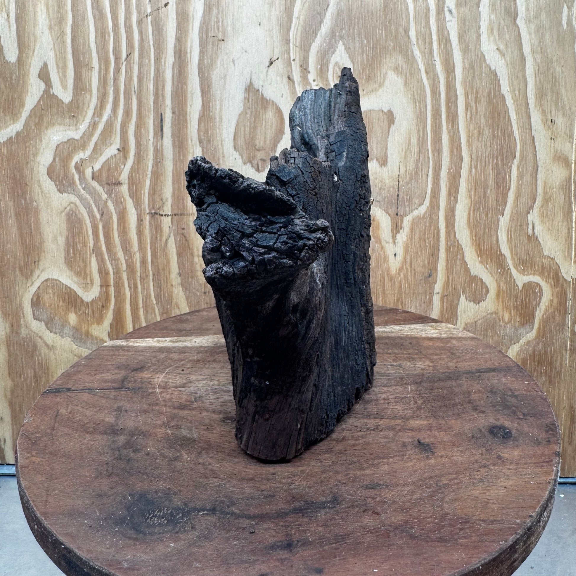 Reptile Realm Natural Wood Natural Wood Piece E - Shrek's Stump