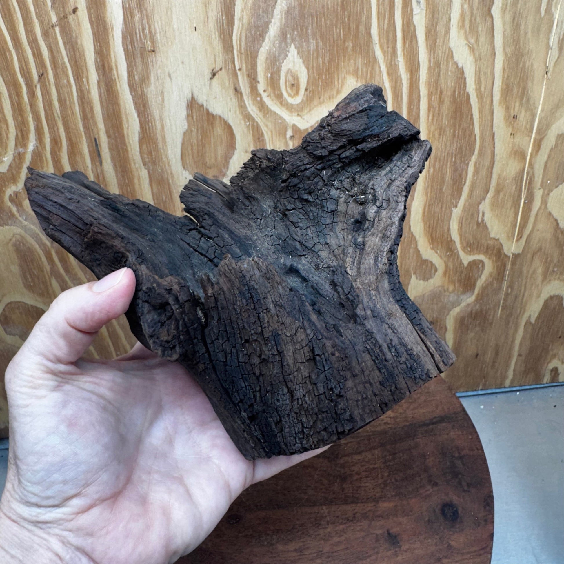 Reptile Realm Natural Wood Natural Wood Piece E - Shrek's Stump