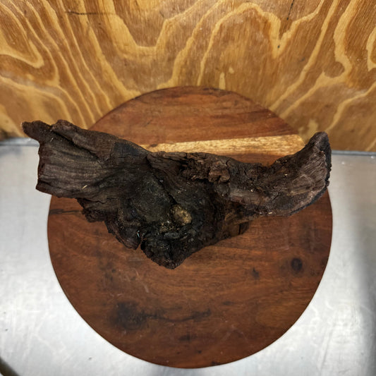 Reptile Realm Natural Wood Natural Wood Piece E - Shrek's Stump