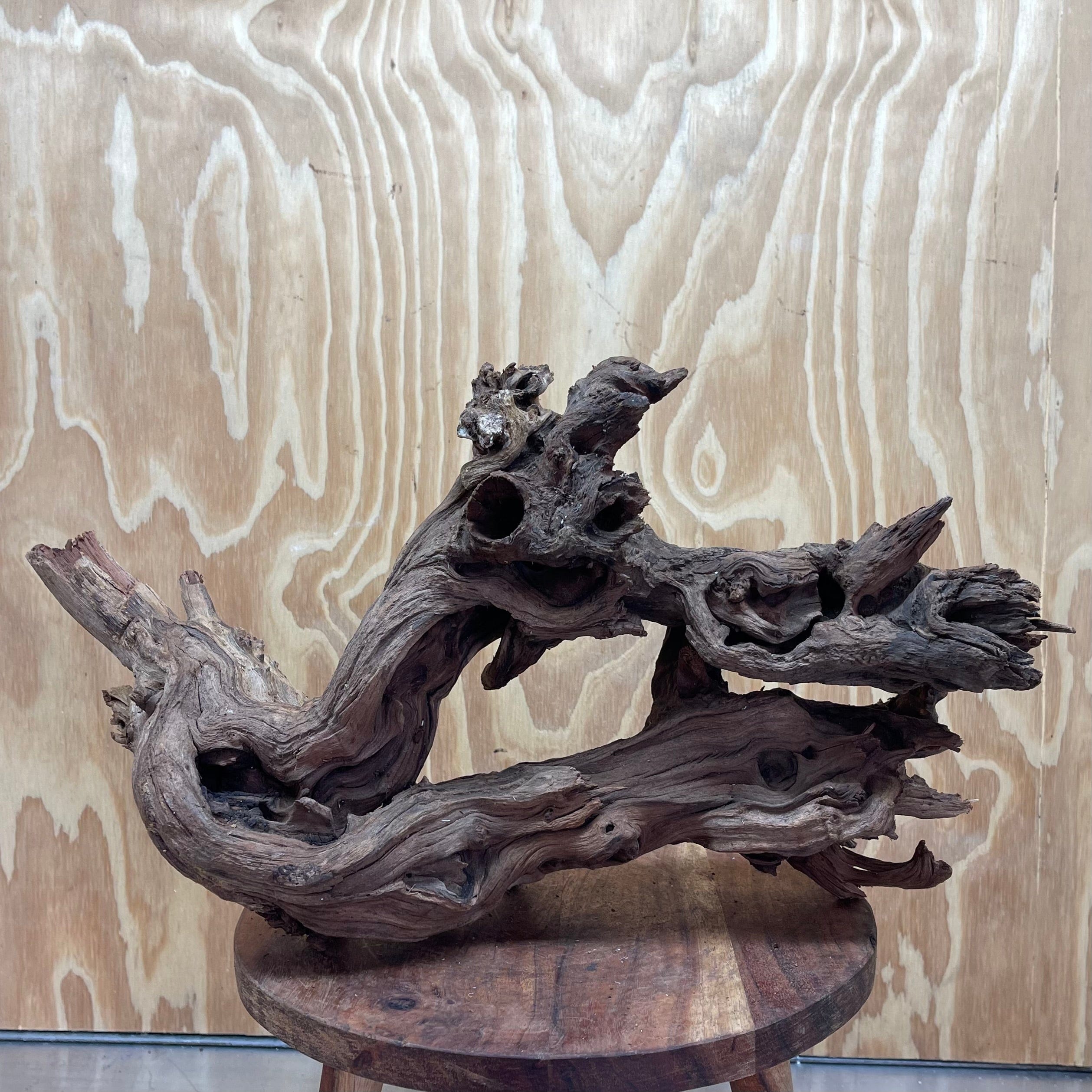 Reptile Realm Natural Wood Natural Wood Piece F