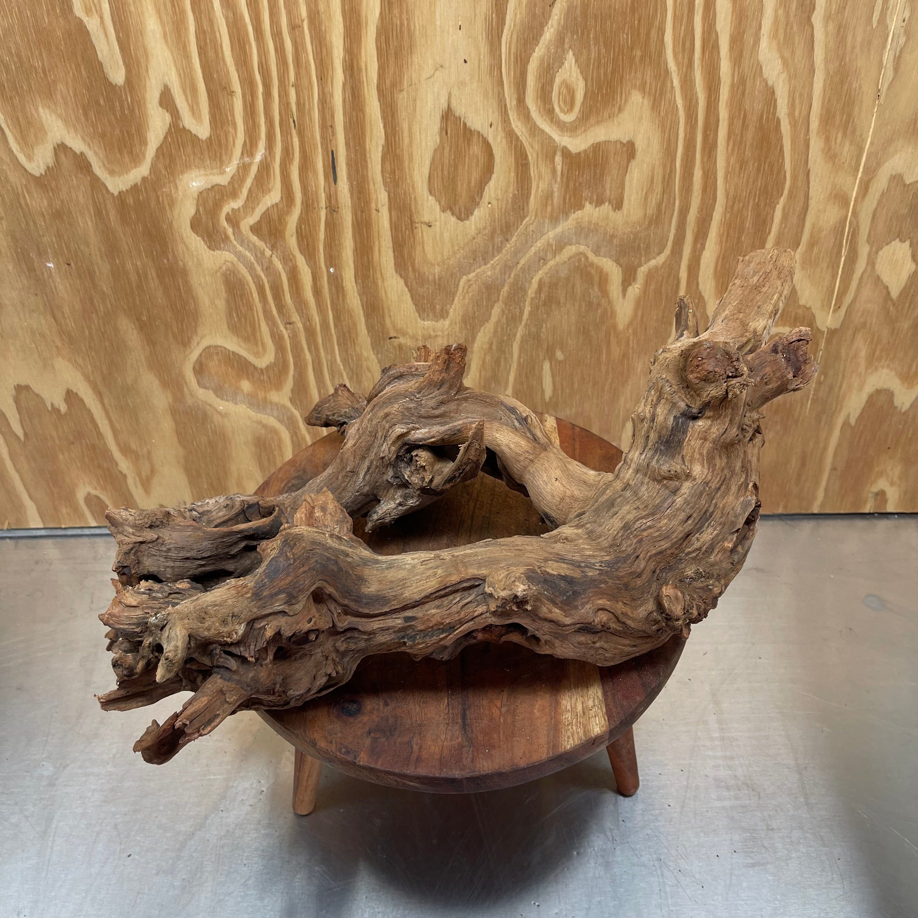 Reptile Realm Natural Wood Natural Wood Piece F