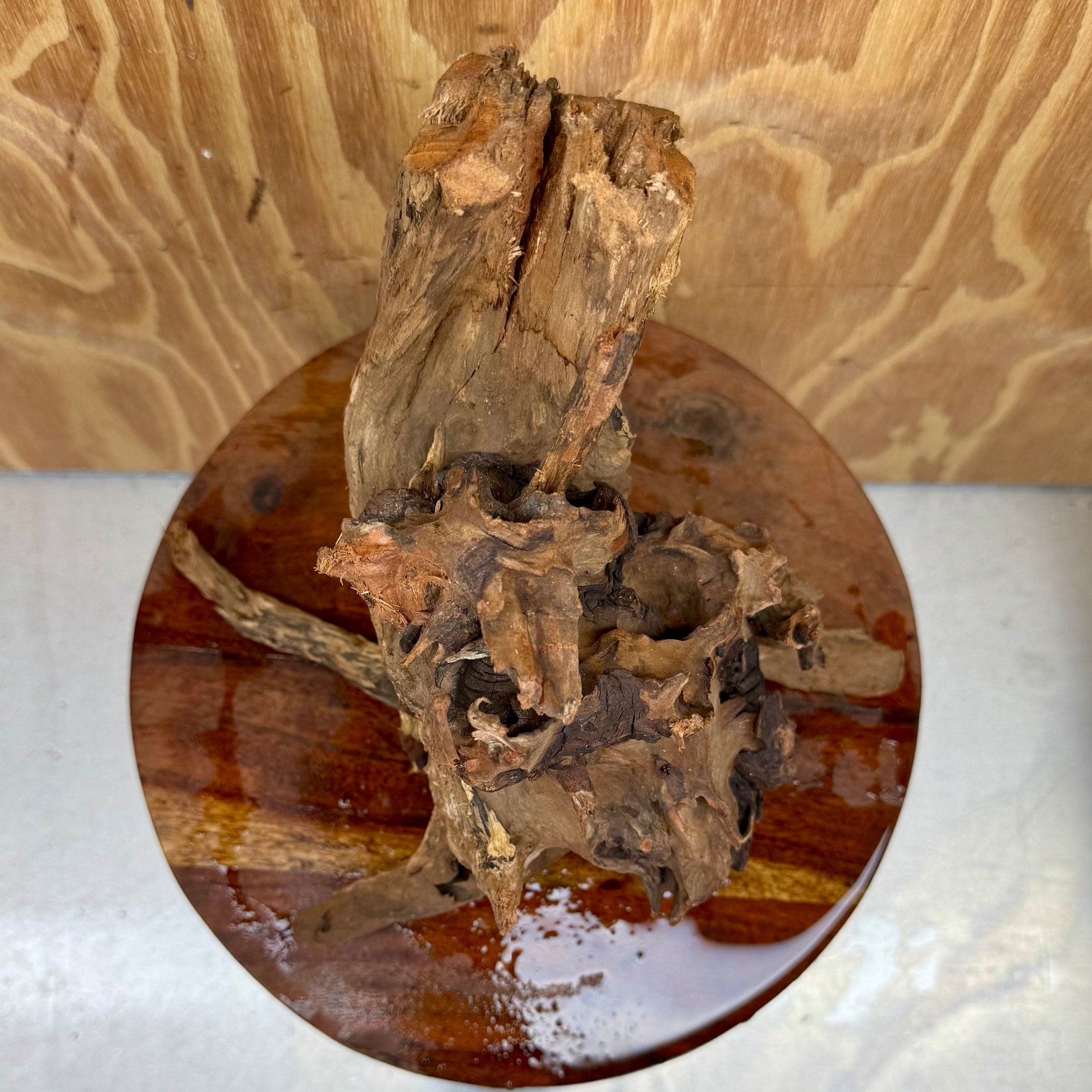 Reptile Realm Natural Wood Natural Wood Piece G