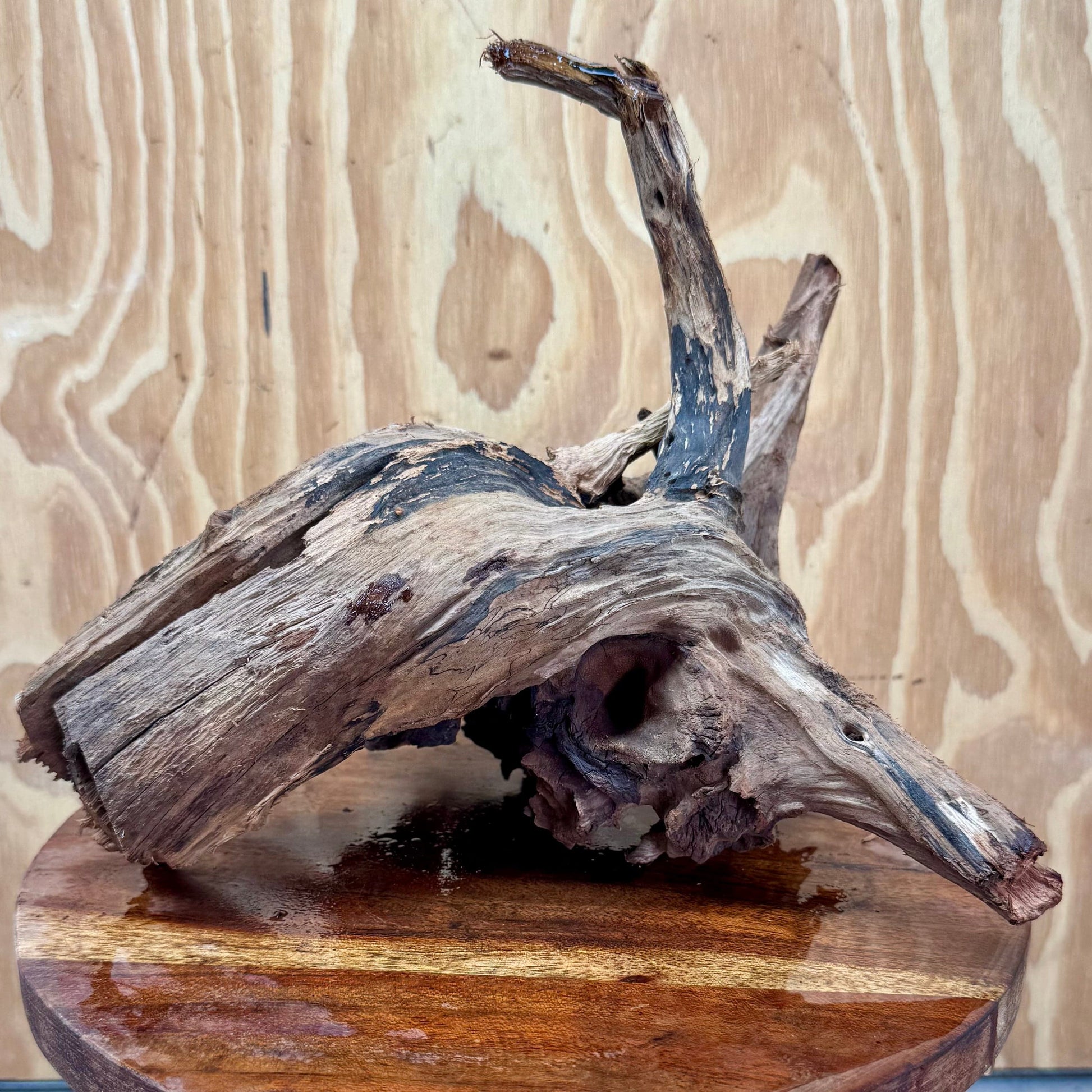 Reptile Realm Natural Wood Natural Wood Piece G