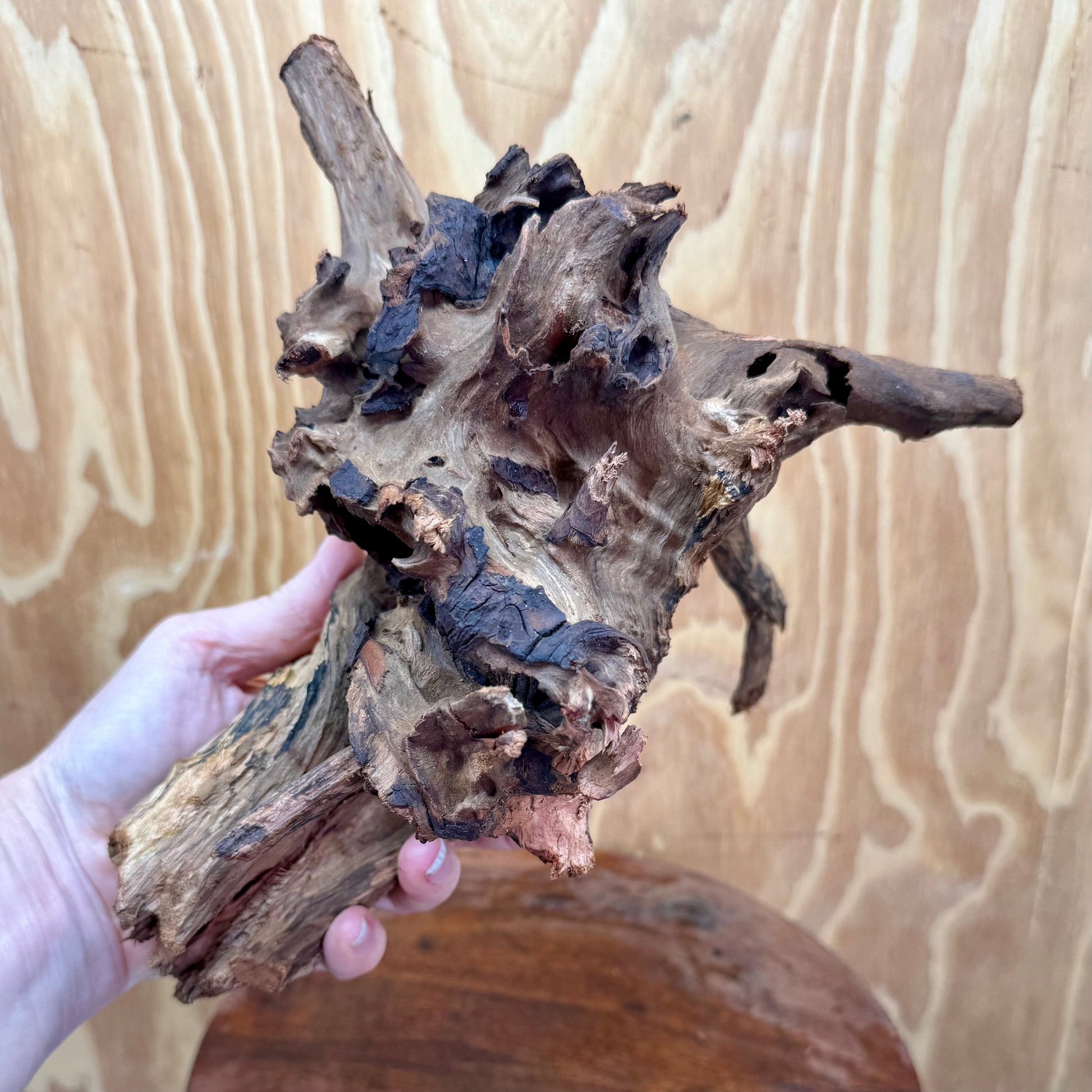 Reptile Realm Natural Wood Natural Wood Piece G