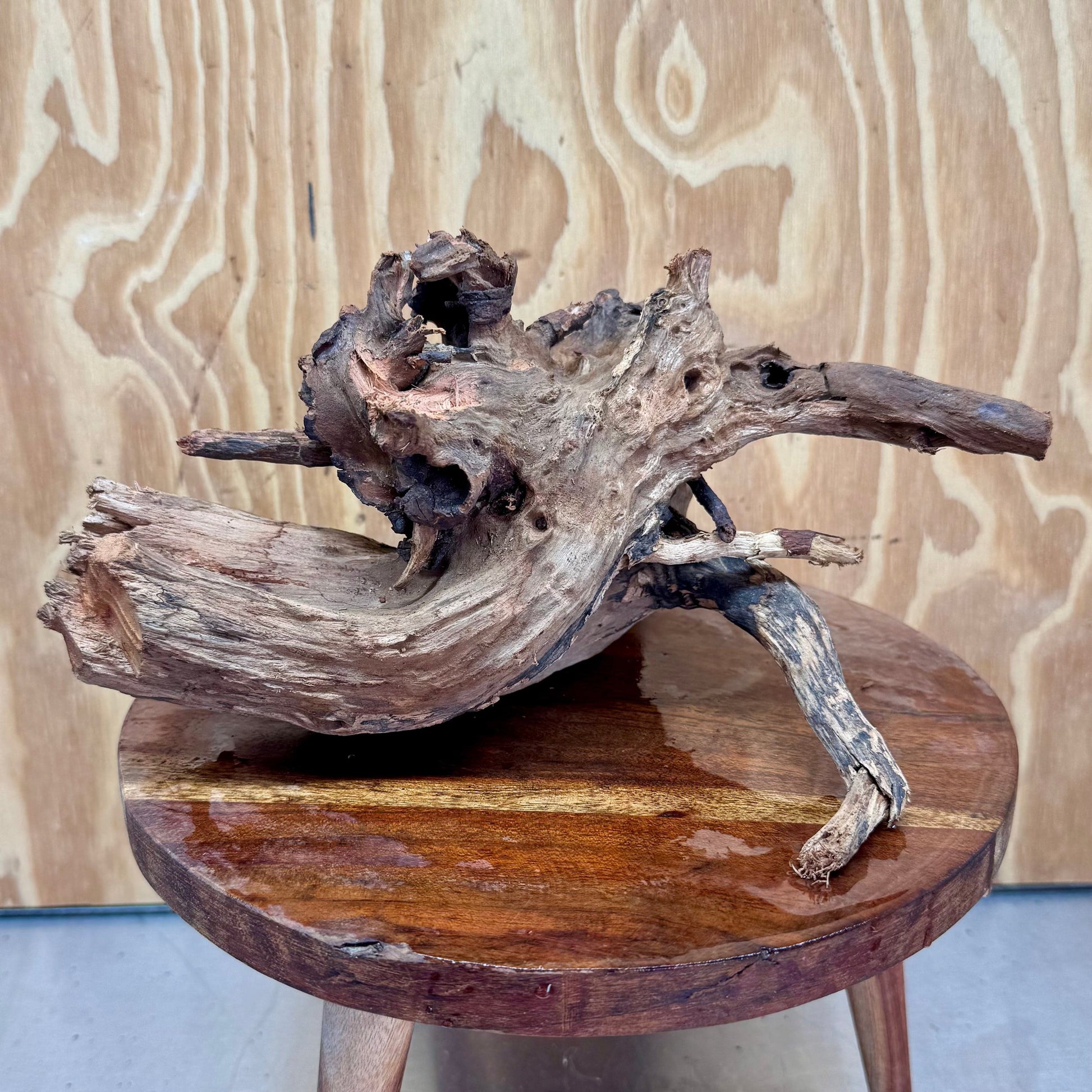 Reptile Realm Natural Wood Natural Wood Piece G