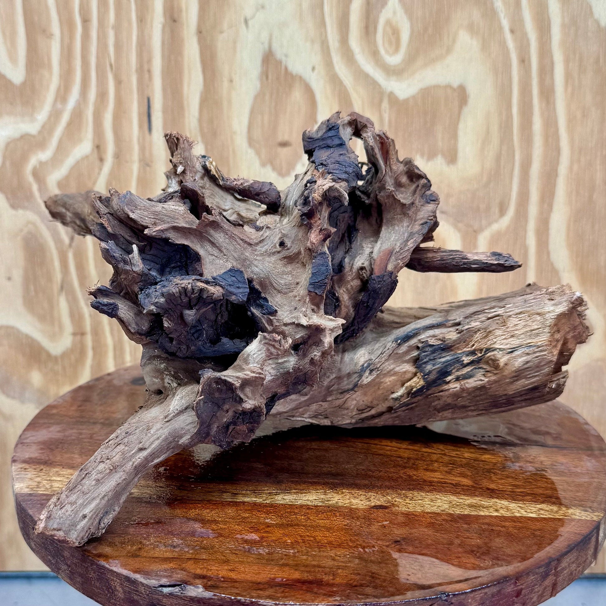 Reptile Realm Natural Wood Natural Wood Piece G