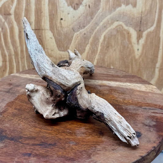 Reptile Realm Natural Wood Natural Wood Piece G