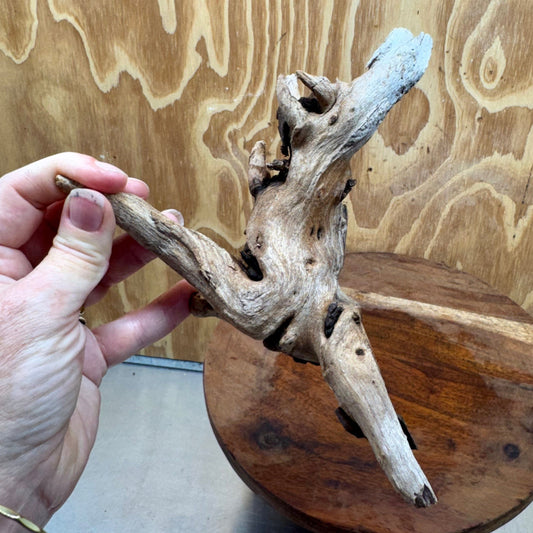 Reptile Realm Natural Wood Natural Wood Piece G