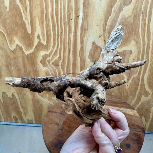 Reptile Realm Natural Wood Natural Wood Piece G