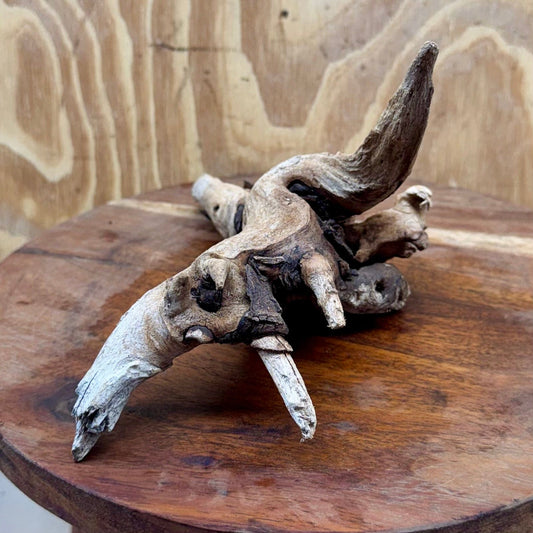 Reptile Realm Natural Wood Natural Wood Piece G