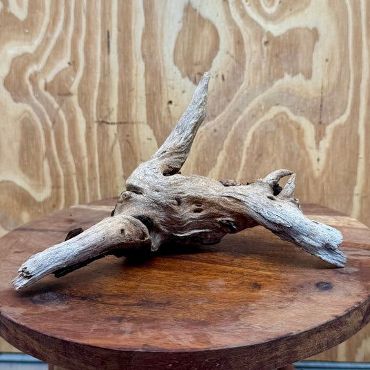 Reptile Realm Natural Wood Natural Wood Piece G