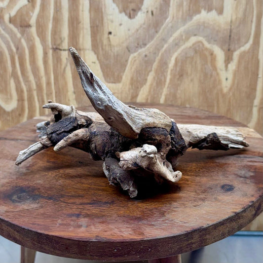 Reptile Realm Natural Wood Natural Wood Piece G