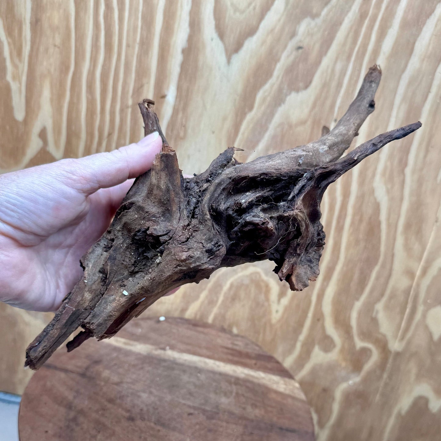 Reptile Realm Natural Wood Natural Wood Piece G