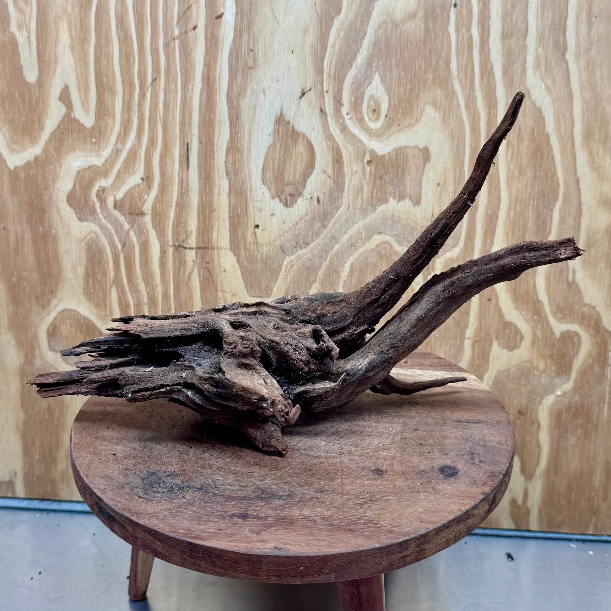 Reptile Realm Natural Wood Natural Wood Piece G