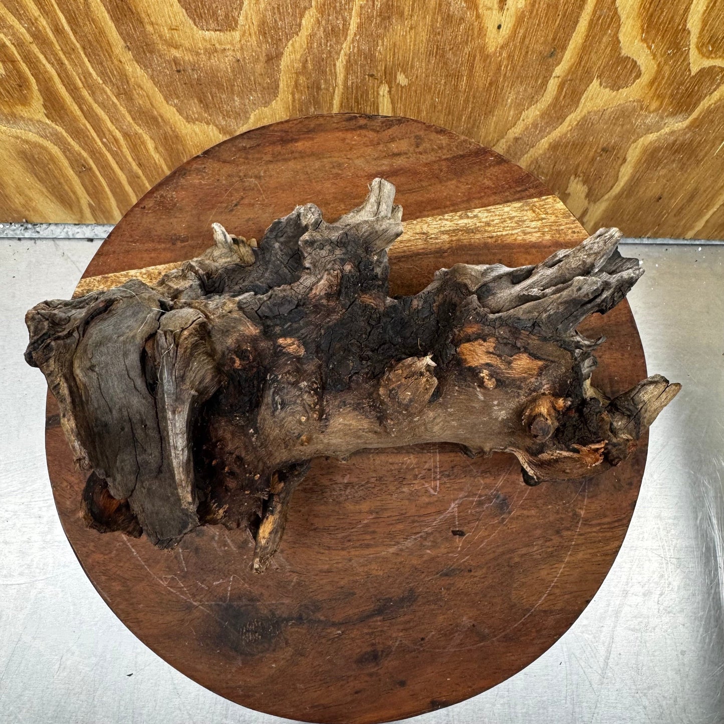 Reptile Realm Natural Wood Natural Wood Piece G