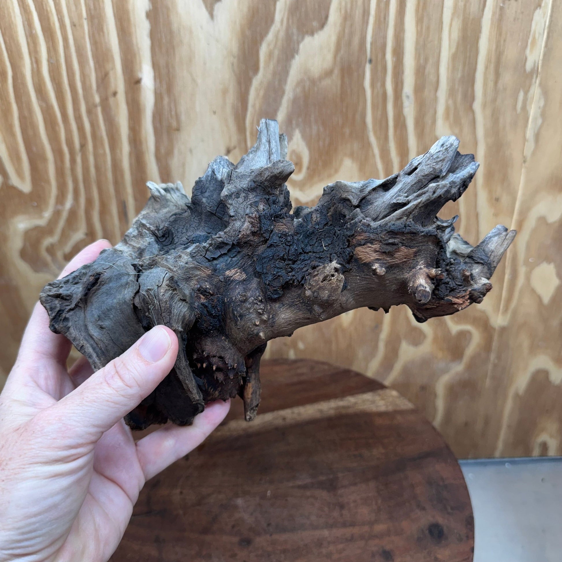 Reptile Realm Natural Wood Natural Wood Piece G