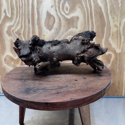 Reptile Realm Natural Wood Natural Wood Piece G