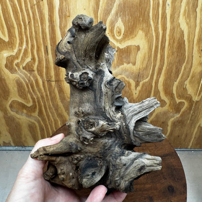 Reptile Realm Natural Wood Natural Wood Piece G