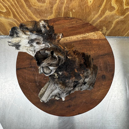 Reptile Realm Natural Wood Natural Wood Piece G