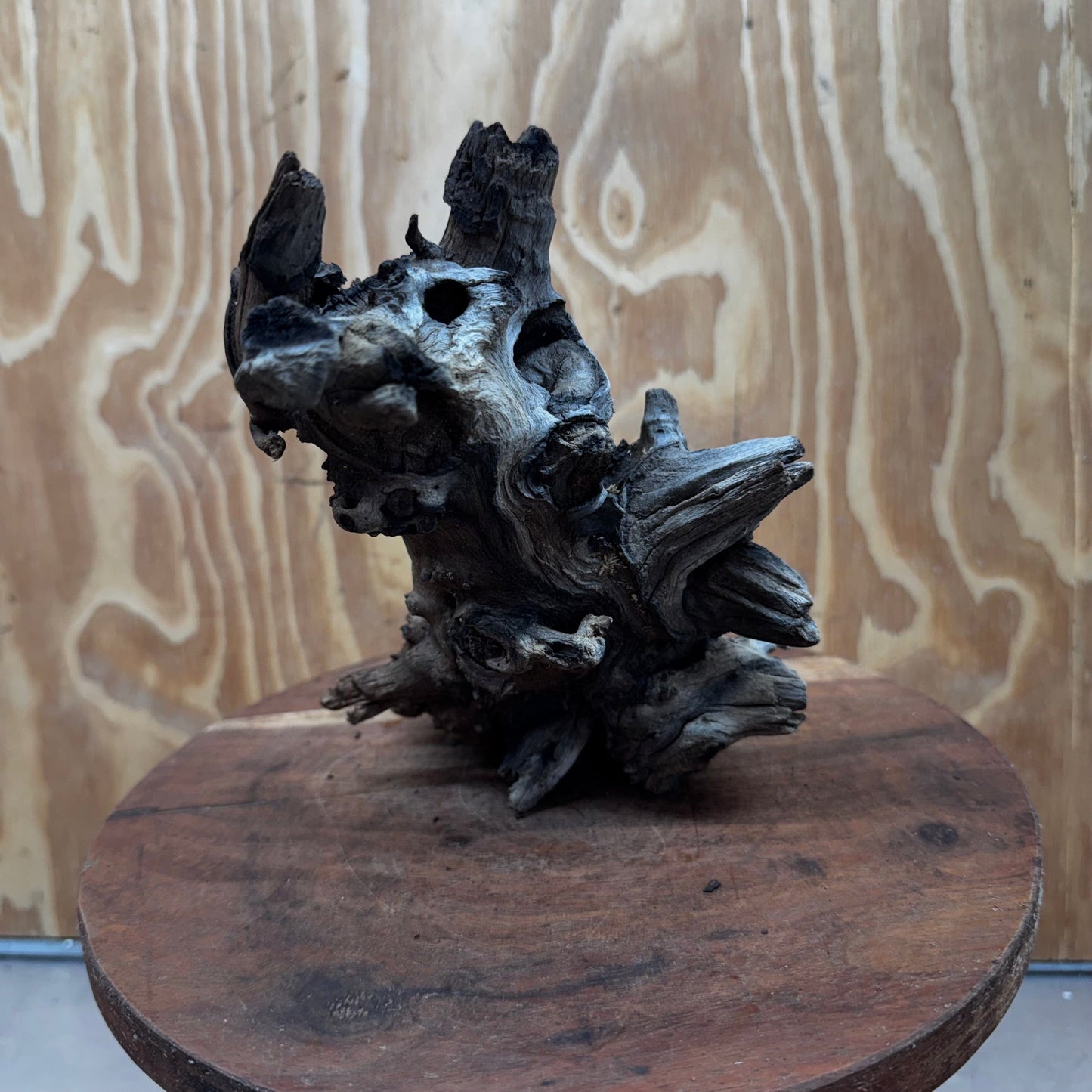 Reptile Realm Natural Wood Natural Wood Piece G
