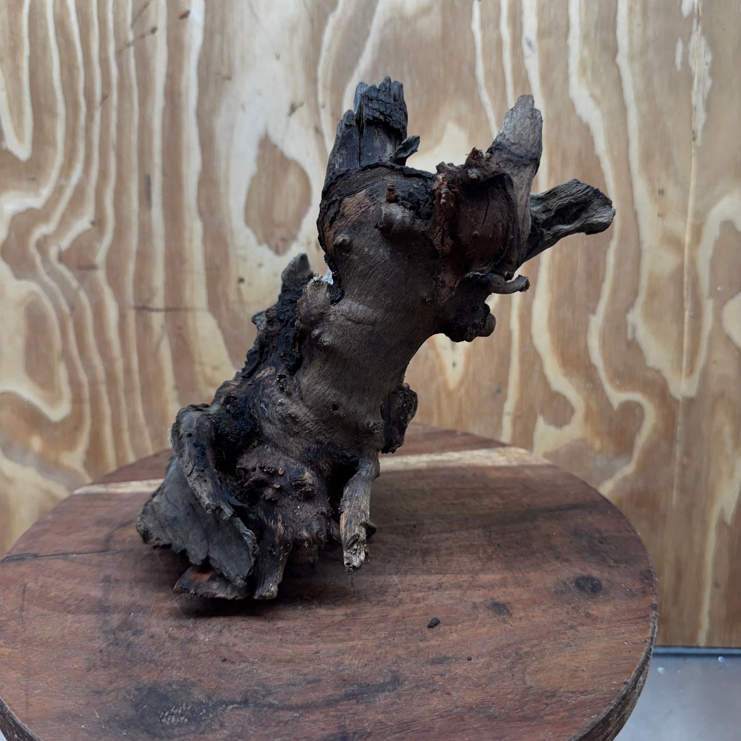 Reptile Realm Natural Wood Natural Wood Piece G