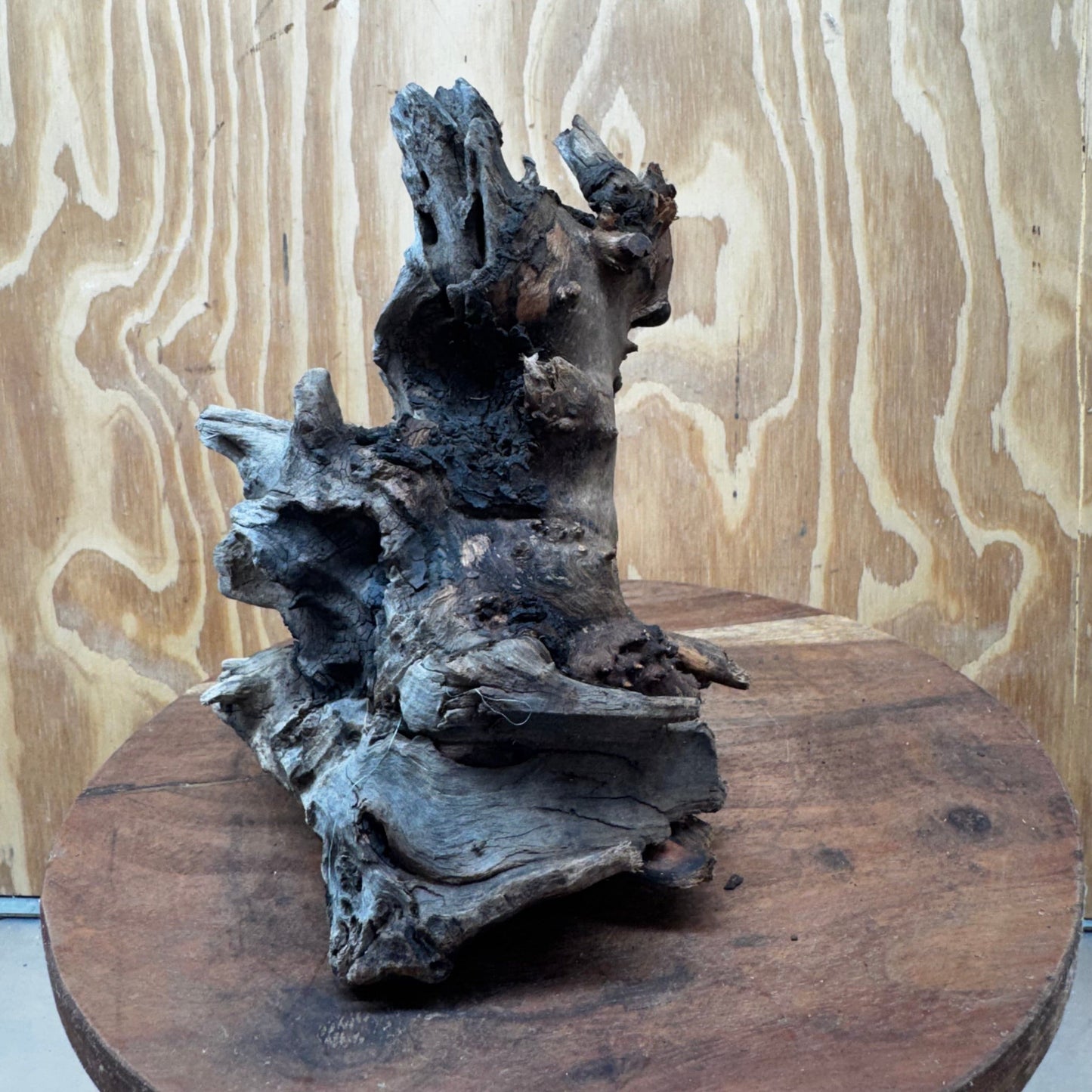 Reptile Realm Natural Wood Natural Wood Piece G