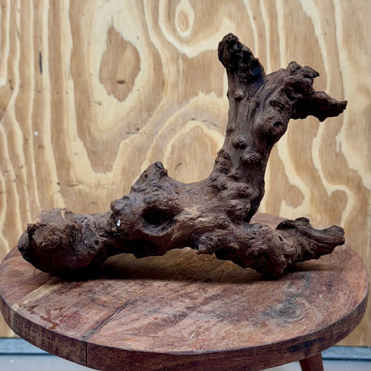 Reptile Realm Natural Wood Natural Wood Piece H