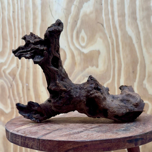 Reptile Realm Natural Wood Natural Wood Piece H